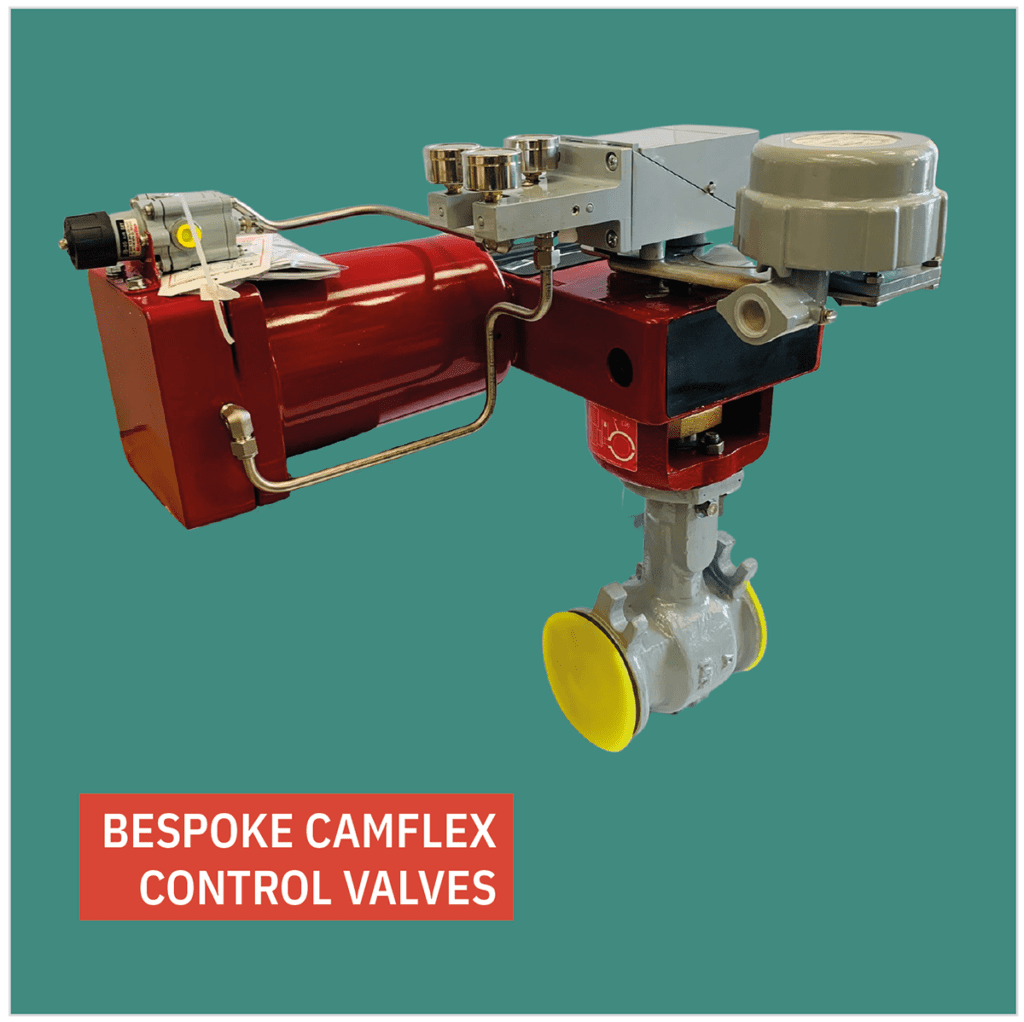 Camflex Valves