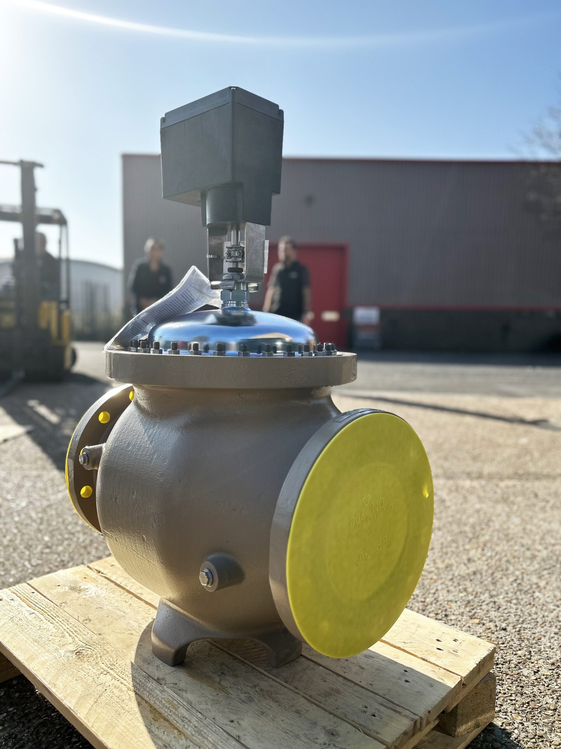 Globe Valve