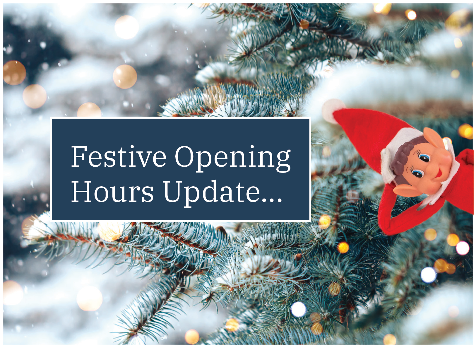 Christmas Hours DEC 2025