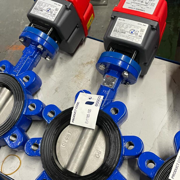 EA1185 Actuated Flanged Lever Lugged Butterfly Valves