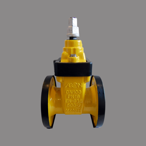 AEON Gas Gate Valves